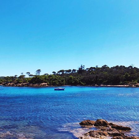 T2 Avec Terrasse & Parking A 5 Min Du Centre, 10 Min Des Plages Hyères Екстериор снимка