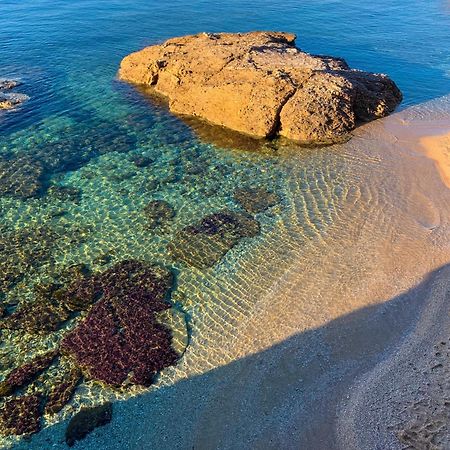 T2 Avec Terrasse & Parking A 5 Min Du Centre, 10 Min Des Plages Hyères Екстериор снимка