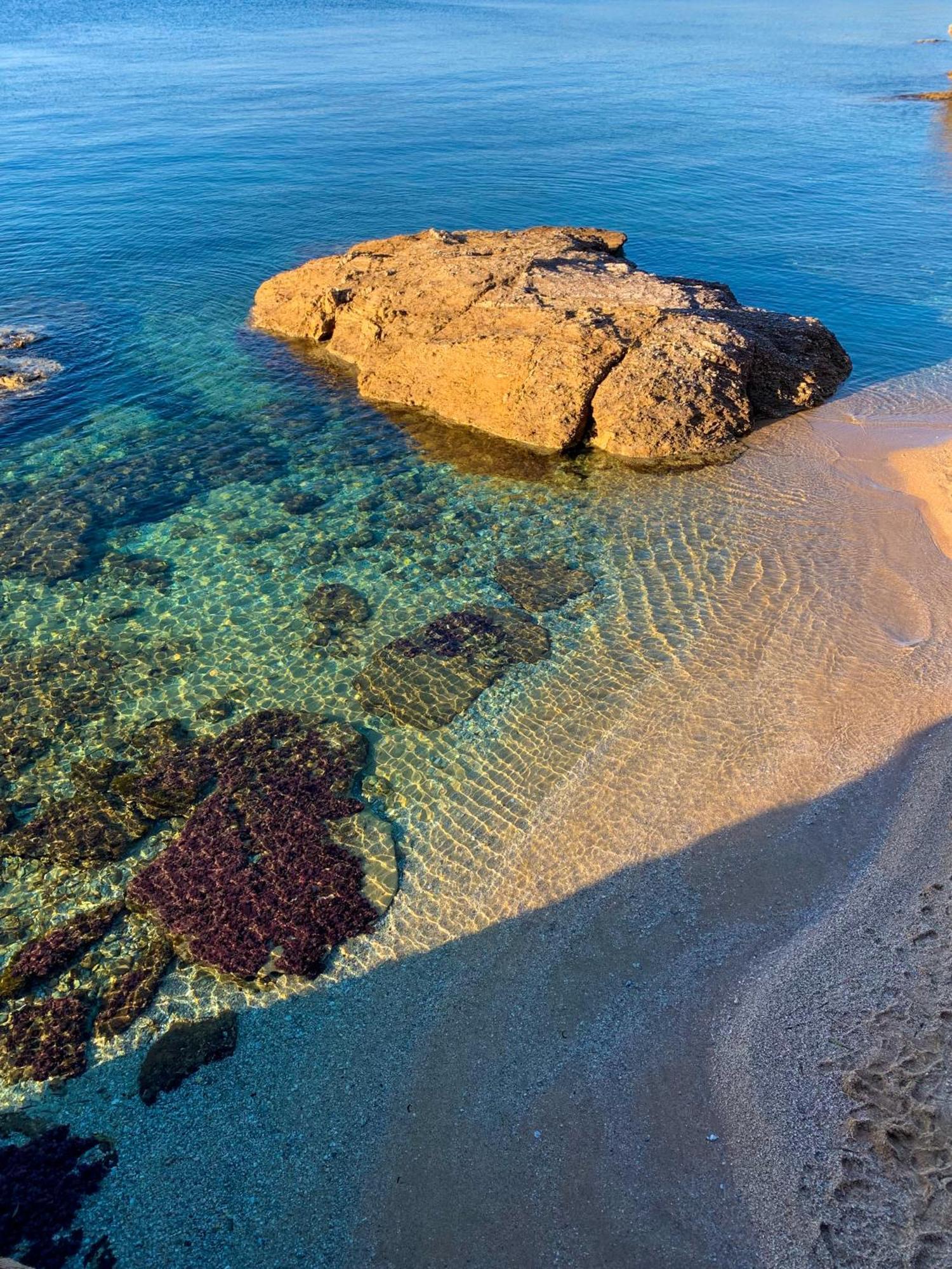 T2 Avec Terrasse & Parking A 5 Min Du Centre, 10 Min Des Plages Hyères Екстериор снимка